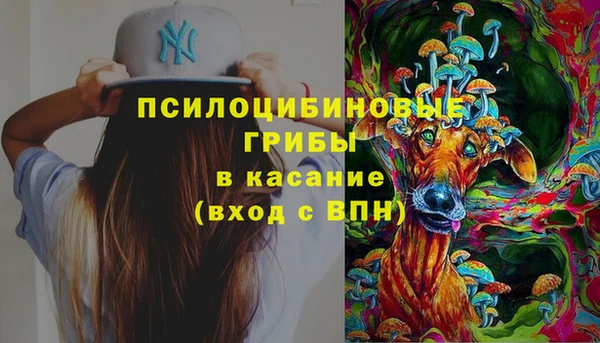 соль ск Медвежьегорск
