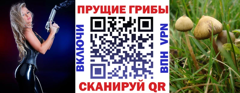 купить   mega онион  Псилоцибиновые грибы мухоморы  Цоци-Юрт 